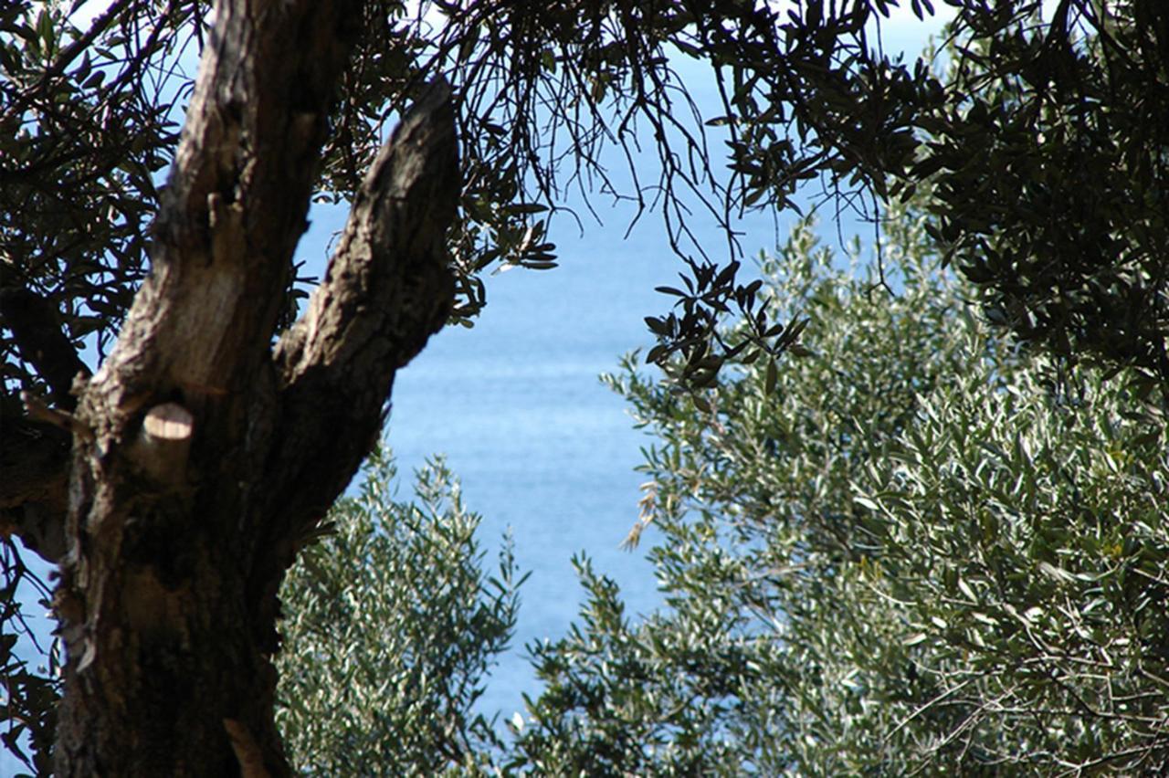 Luxury Bonbon Next To Banje Beach And Old Town, Great Location Dubrovnik Exterior foto